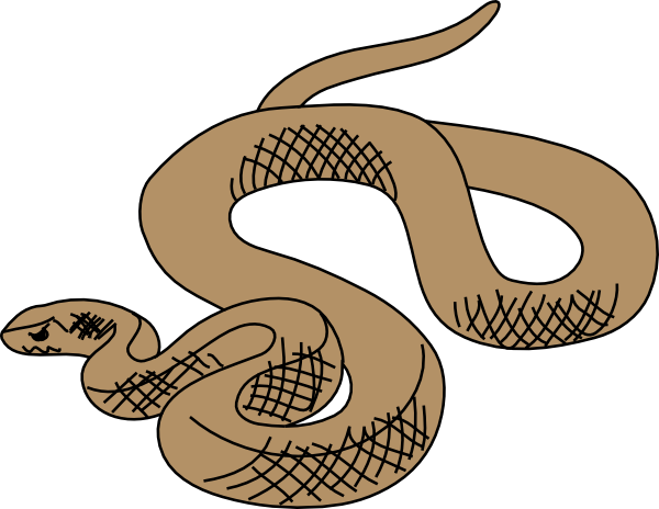 november snake activity sketch